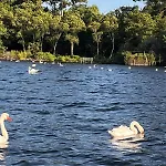 Bord De Biscarosse مكان تخييم *