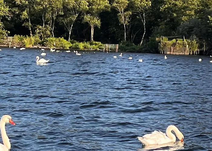 Bord De Biscarosse Campingplads *